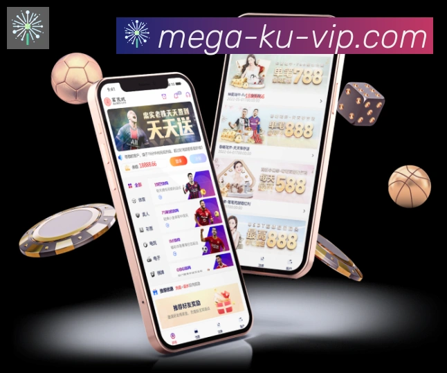 未来规划